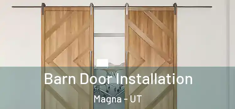 Barn Door Installation Magna - UT