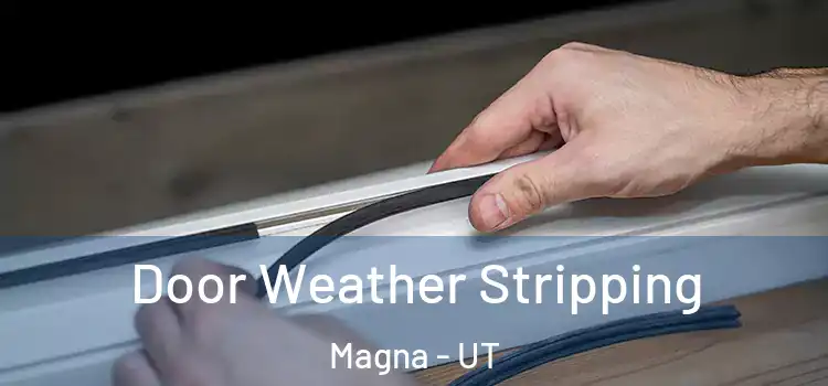  Door Weather Stripping Magna - UT