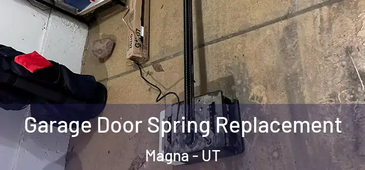  Garage Door Spring Replacement Magna - UT