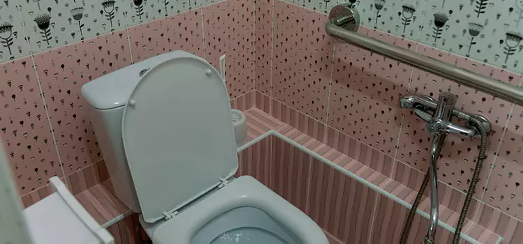 Meeting Diverse Needs With Accessible Restroom Solutions in Magna, UT