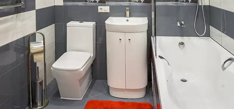 Hansgrohe Shaving Mirror Magna